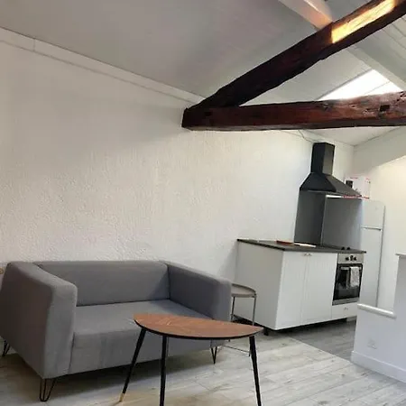 Studio Sous Les Toits Paisible Clermont-Ferrand
