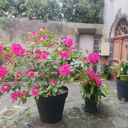 Apartment Studio Sous Les Toits Paisible